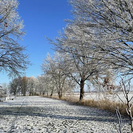 Διαμέρισμα In't Noord Kombuese