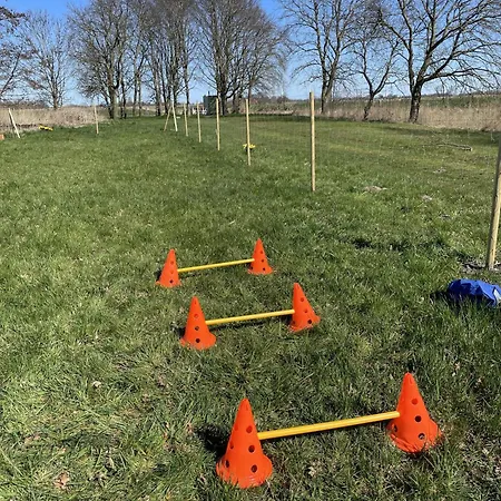 In't Noord Kombuese * Tossens